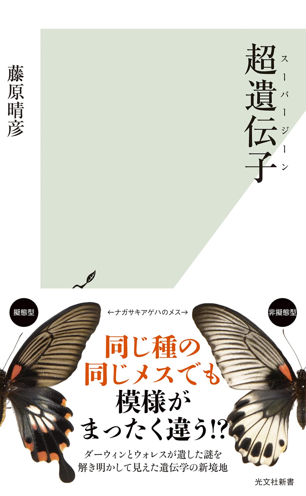 超遺伝子（スーパージーン） (光文社新書 1257) | 藤原 晴彦 |本